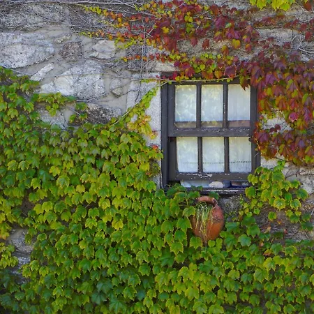 Casa Da Reina * Viana do Castelo
