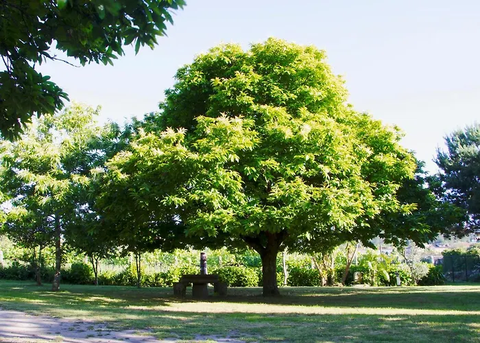 Séjour à la campagne Casa Da Reina *