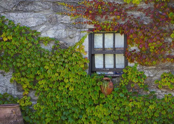 Casa Da Reina * Viana do Castelo