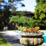 Casa Da Reina Viana do Castelo