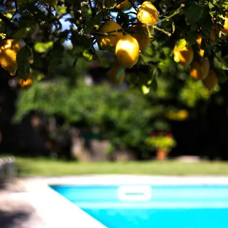 Casa Da Reina Casa rural Viana do Castelo