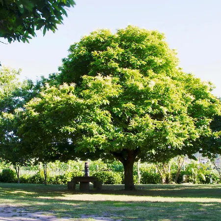 Casa rural Casa Da Reina *