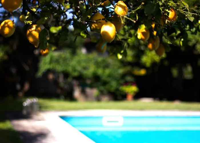 Casa Da Reina 乡村民宿 维亚纳堡