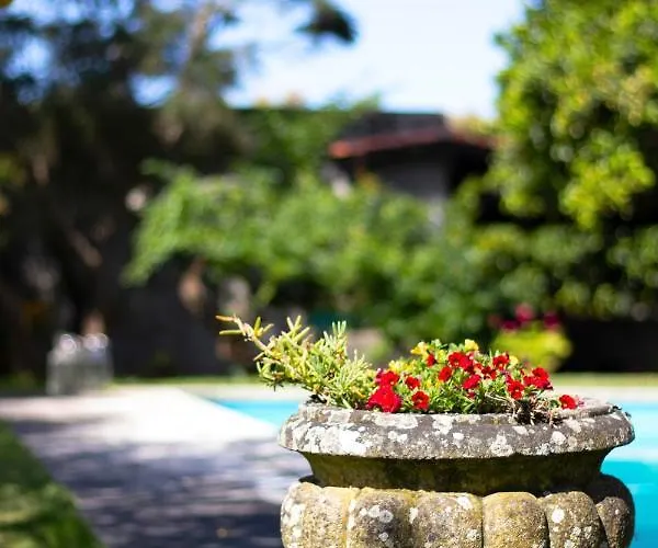 Casa Da Reina 维亚纳堡