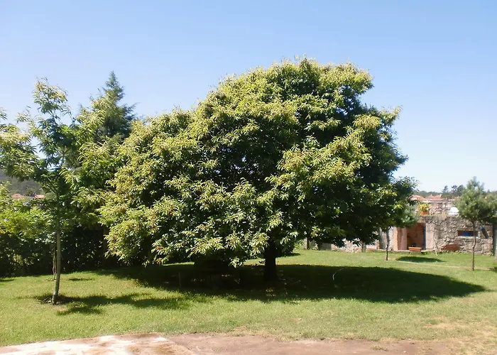 Gospodarstwo wiejskie Casa Da Reina Viana do Castelo